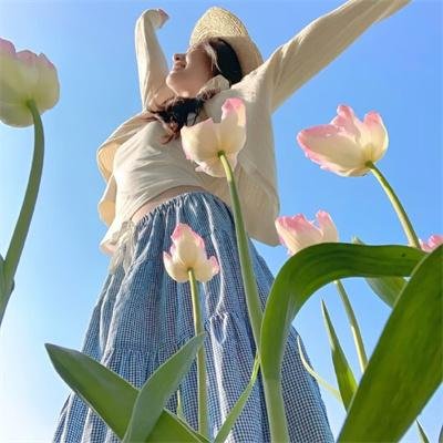 猛鬼街6国语封面